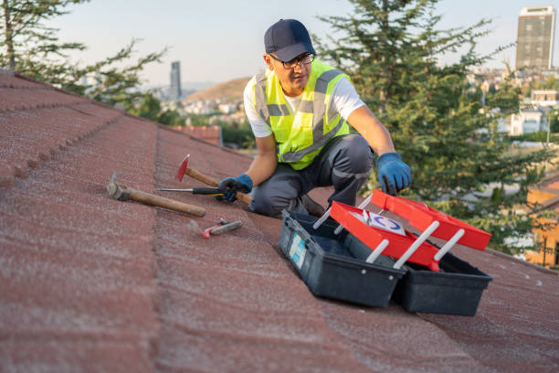 Best Stone Veneer Siding  in Somerton, AZ